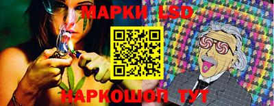 стаф Аргун